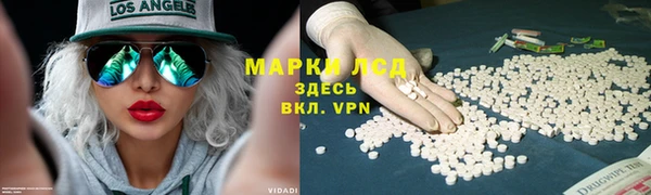 ПСИЛОЦИБИНОВЫЕ ГРИБЫ Алексеевка